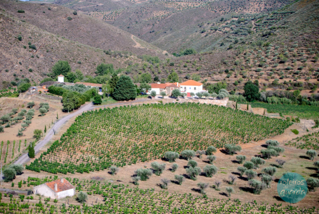Concelho da Meda