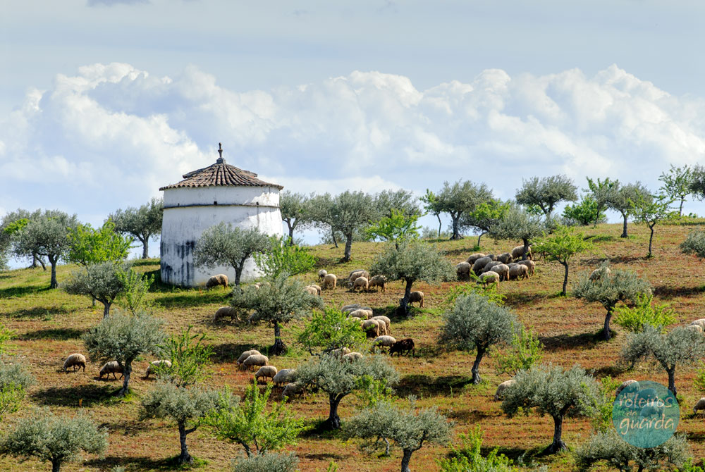 Agricultura