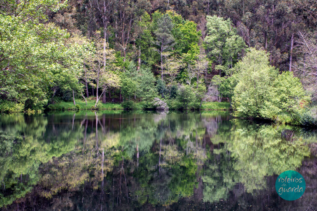 projeto roteiros-da-guarda-ambiente