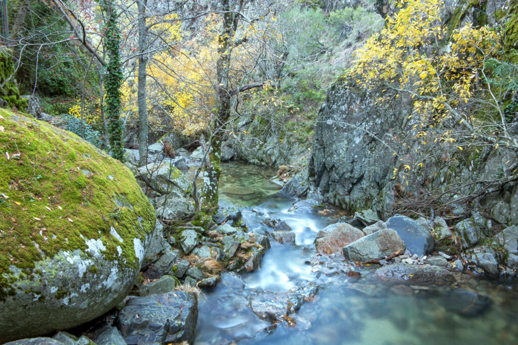 Parque Natural da Serra da Estrela