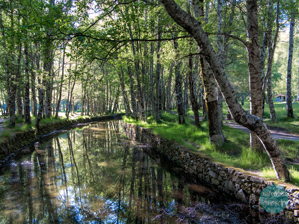 Região da Serra da Estrela
