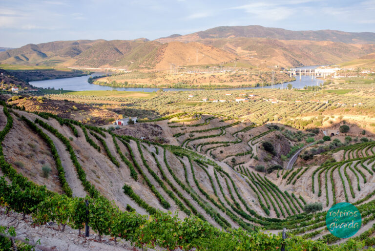 roteiros_da_guarda-ambiente-rio-douro