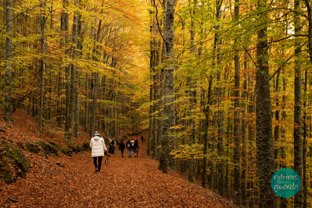 roteirosdaguarda-ambiente-serra-da-estrela-manteigas-rota-das-faias-sao-lourenco-aventur