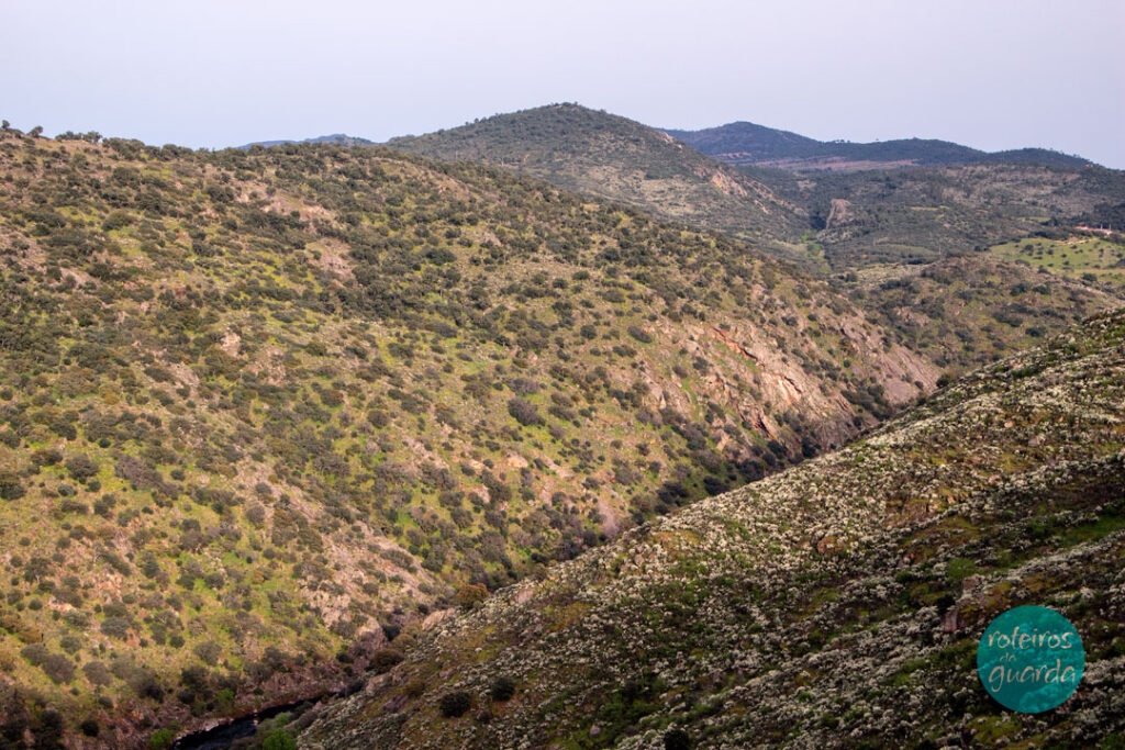 roteiros_da_guarda-ambiente-pinhel-reserva-da-faia-brava
