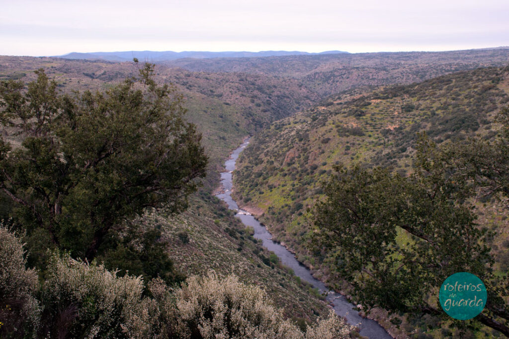 roteiros_da_guarda-ambiente-pinhel-reserva-da-faia-brava