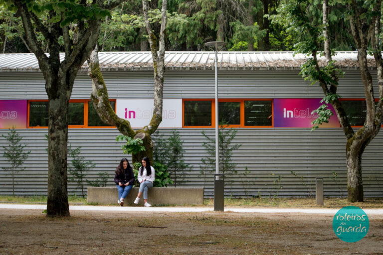 Parque da Cidade