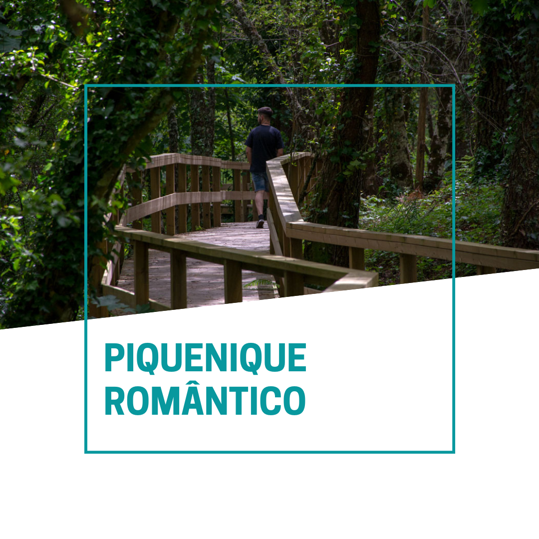 Piquenique Romântico