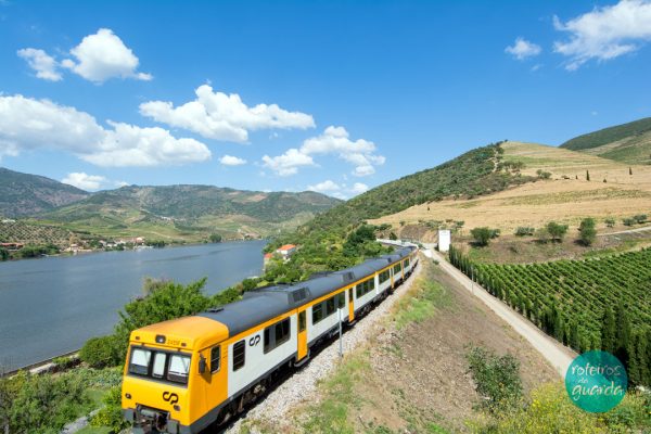 roteiros_da_guarda-ambiente-rio-douro
